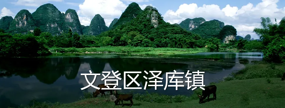 文登区泽库镇